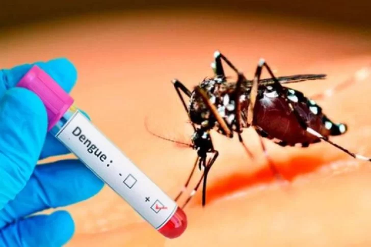 Desde gobierno piden extremar la precaución ante el dengue