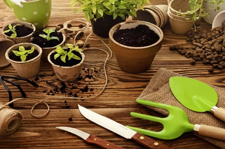 Puesta a punto de tu huerta en otoño