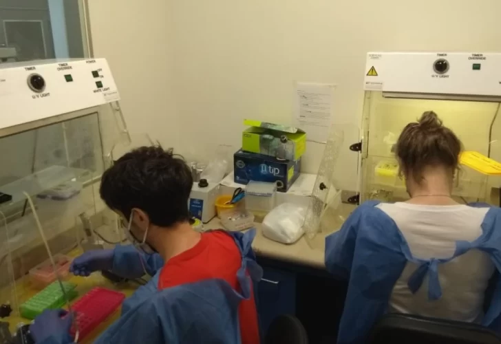 Detectaron el primer caso de la cepa británica de coronavirus en la Argentina