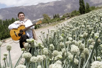 Armonías en los cerros
