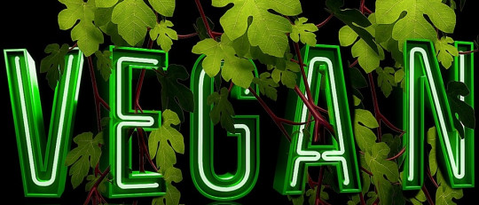 Compró una remera con un mensaje en otro idioma y cuando lo tradujo quiso devolverla Compró una remera con un mensaje en otro idioma y cuando lo tradujo quiso devolverla