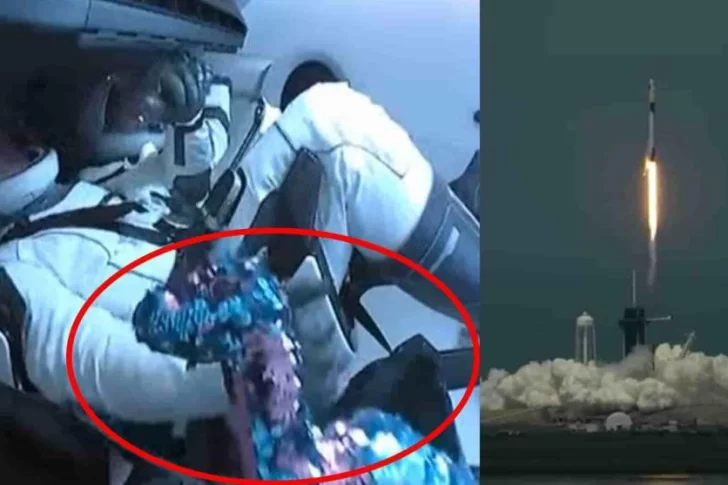 La historia del dinosaurio que llevaron los astronautas del SpaceX