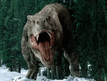 Sí, vivos Sí, vivos