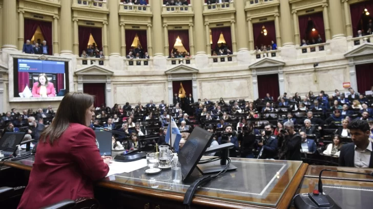 Diputados sesiona este sábado para repudiar el ataque contra la Vicepresidenta Diputados sesiona este sábado para repudiar el ataque contra la Vicepresidenta