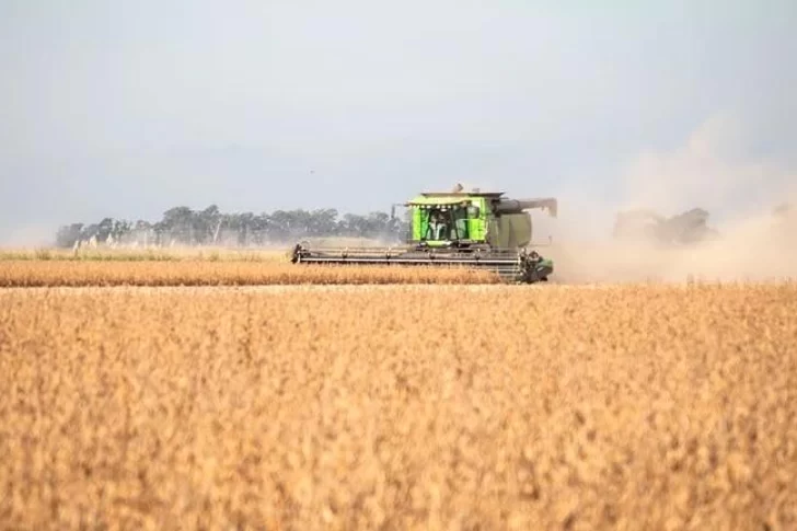 “Dólar soja”: más de 9 millones de toneladas vendidas y se acerca a los USD 5 mil millones