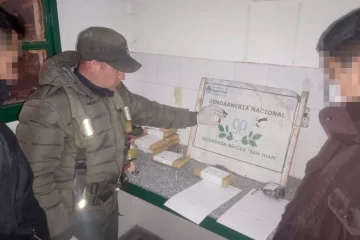 Ingresaron desde Mendoza con cocaína y marihuana ocultos bajo la alfombra del baúl Ingresaron desde Mendoza con cocaína y marihuana ocultos bajo la alfombra del baúl