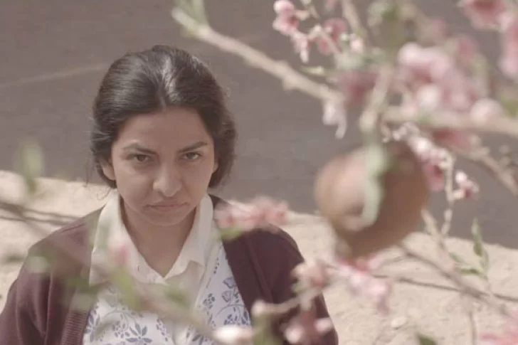 Proyecciones itinerantes