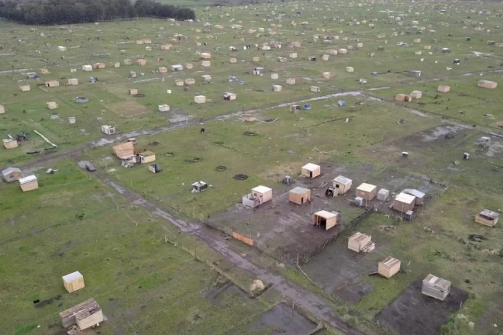 Cafiero culpó a Macri por la toma de tierras: “No hizo las viviendas que prometió”