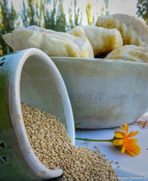 La quinoa se hizo relleno de empanadas La quinoa se hizo relleno de empanadas