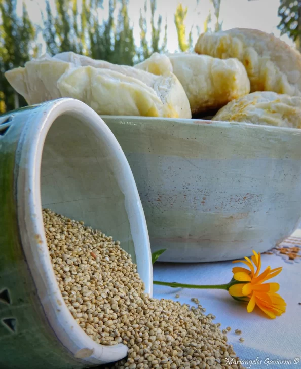 La quinoa se hizo relleno de empanadas La quinoa se hizo relleno de empanadas