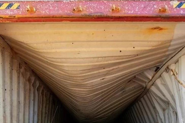 Sacaron un contenedor de fondo del mar luego de 22 meses y hallaron algo impresionante