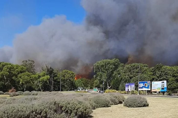 Un voraz incendio se esparce por bosques en Villa Gesell: el humo es visible desde la playa