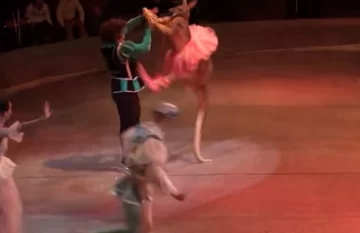 Repudio a un circo que le puso un tutú a un caguro y lo hizo bailar Repudio a un circo que le puso un tutú a un caguro y lo hizo bailar