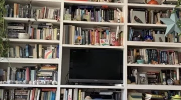 Encontrar al gato en pocos segundos, el nuevo reto viral Encontrar al gato en pocos segundos, el nuevo reto viral