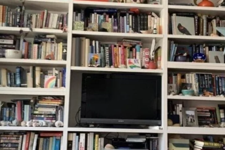 Encontrar al gato en pocos segundos, el nuevo reto viral