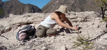 Hallan nueva especie de rincosaurio de 230 millones de años en Talampaya Hallan nueva especie de rincosaurio de 230 millones de años en Talampaya