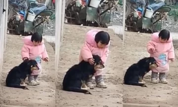 El tierno gesto de una nena para proteger a su perro de los fuegos artificiales El tierno gesto de una nena para proteger a su perro de los fuegos artificiales