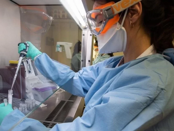 Confirman 4 casos más de coronavirus en Mendoza, entre ellos una nena de 3 años Confirman 4 casos más de coronavirus en Mendoza, entre ellos una nena de 3 años