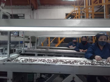 San Juan, líder en exportación de pasa orgánica certificada San Juan, líder en exportación de pasa orgánica certificada