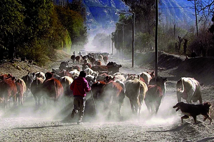 Arte y testimonio sin filtros