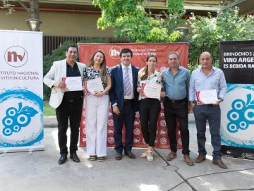 Categorización Categorización