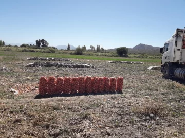 Alta demanda Alta demanda