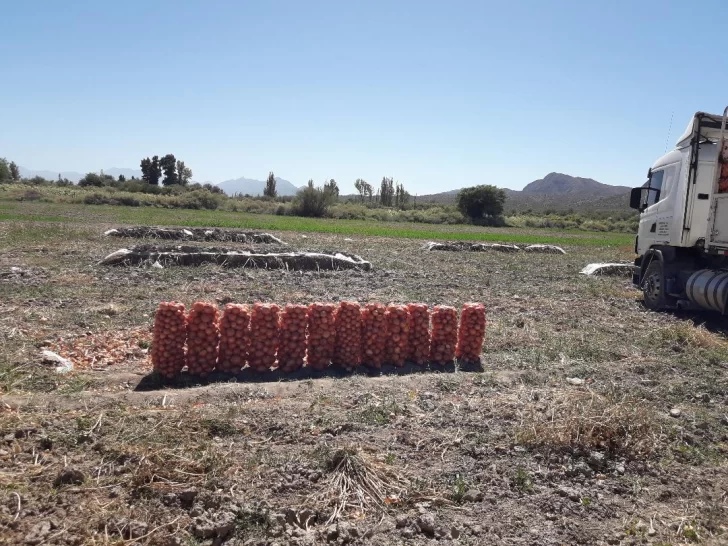 Alta demanda Alta demanda