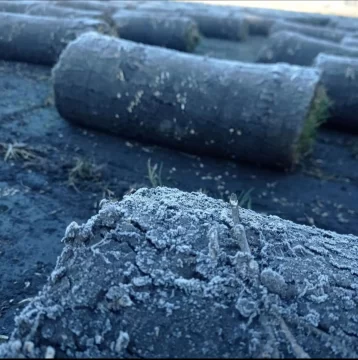 Frío, frío Frío, frío