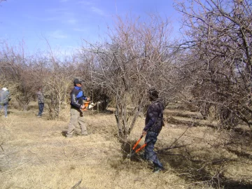 7º Jornadas de Membrillos del Sol