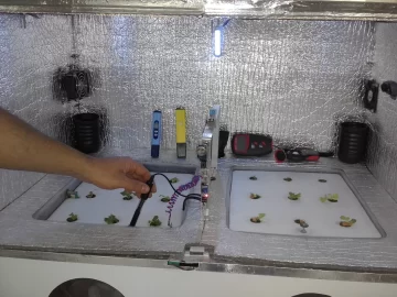 El INV suma entidades para la estimación de cosecha