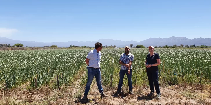 Inspecciones, auditorías y labores de plena temporada Inspecciones, auditorías y labores de plena temporada