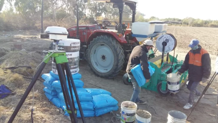 Las normas medioambientales y la puesta en práctica en las bodegas Las normas medioambientales y la puesta en práctica en las bodegas