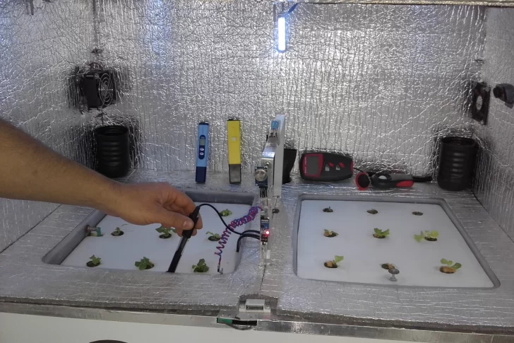 El INV suma entidades para la estimación de cosecha