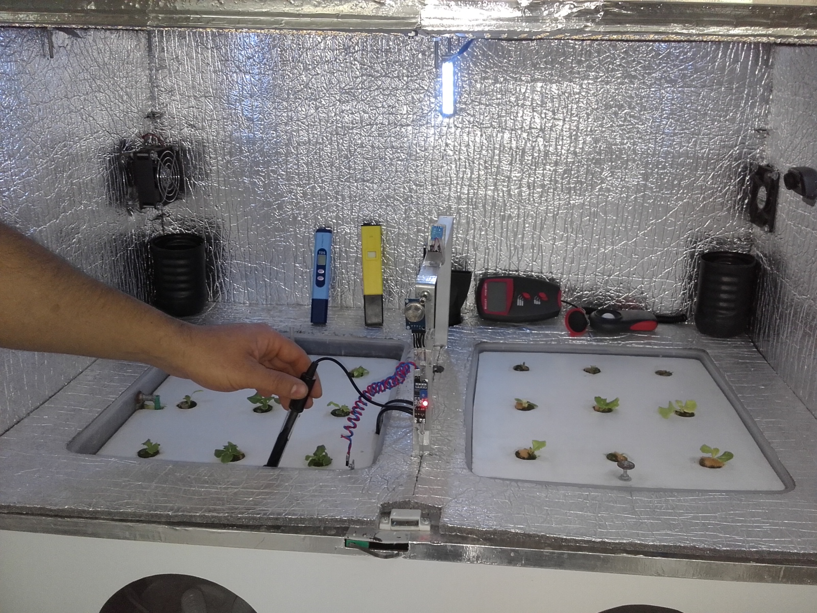 San Juan es la provincia con mayor diversificación en vides San Juan es la provincia con mayor diversificación en vides