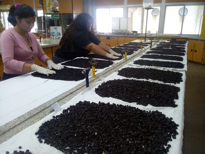 Laboratorio de calidad de pasas en rama o “Q-pasas” Laboratorio de calidad de pasas en rama o “Q-pasas”