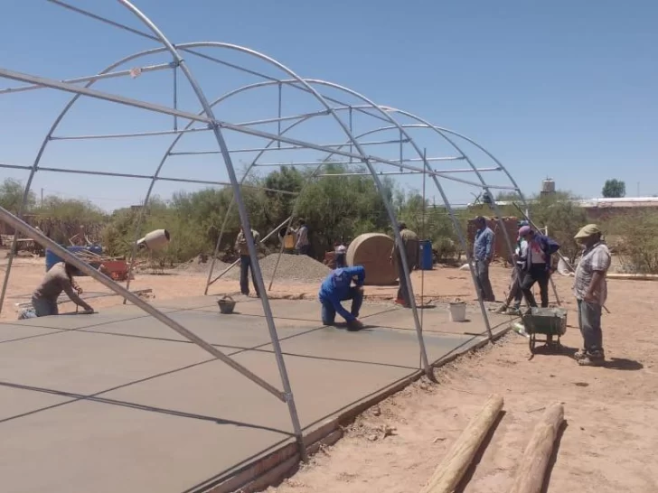 Aprender a diseñar el desarrollo de emprendimientos triple impacto Aprender a diseñar el desarrollo de emprendimientos triple impacto