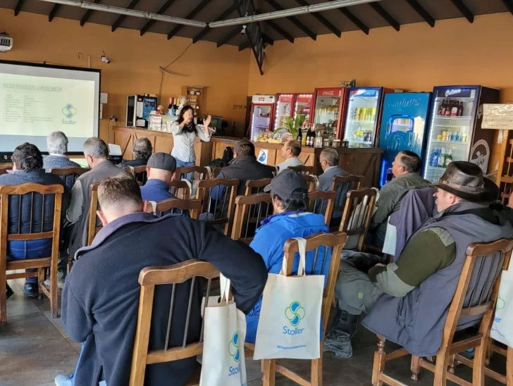 Pro Star Plus para una brotación con más rapidez y uniformidad Pro Star Plus para una brotación con más rapidez y uniformidad