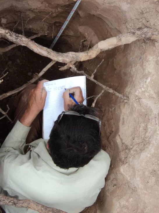 SISINTA: Información pública disponible sobre los suelos SISINTA: Información pública disponible sobre los suelos