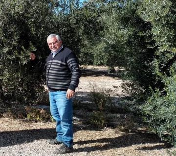 Seguir técnicamente el monte de olivos Seguir técnicamente el monte de olivos