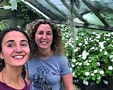 Buscan remediar suelos con plomo mediante una planta ornamental