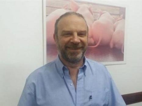 La porcinicultura lidera los sectores ganaderos rentables La porcinicultura lidera los sectores ganaderos rentables