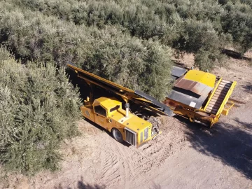 San Juan exporta el 32 % del aceite de oliva de la Argentina