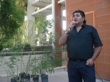 Los árboles de las calles no se podan porque los daña hasta morir Los árboles de las calles no se podan porque los daña hasta morir