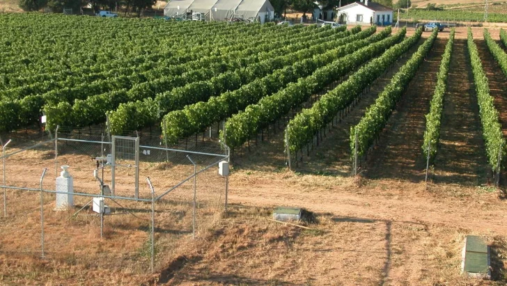 Sustentabilidad, inocuidad y calidad como base de desarrollo Sustentabilidad, inocuidad y calidad como base de desarrollo