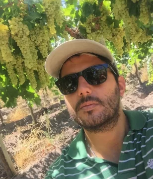 Reinvertir en los viñedos es el buen consejo al productor Reinvertir en los viñedos es el buen consejo al productor