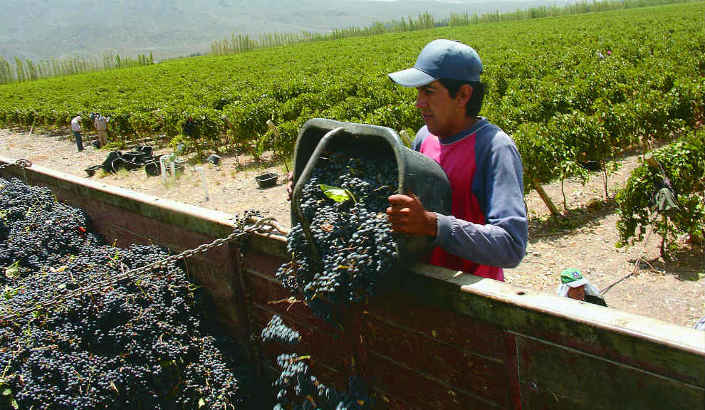 Al enoturismo le va a llevar un año recuperarse Al enoturismo le va a llevar un año recuperarse