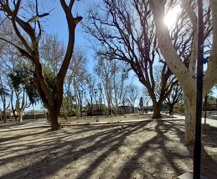 Elegir qué regar Elegir qué regar