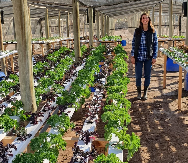 Larga vida al kale Larga vida al kale