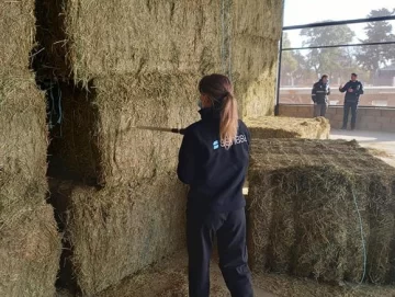 Alfalfa: Inauguraron Nodo Logístico Ferroviario Alfalfa: Inauguraron Nodo Logístico Ferroviario