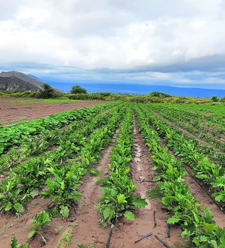 Hay consenso entre meteorólogos que el apogeo de “La Niña” ya pasó Hay consenso entre meteorólogos que el apogeo de “La Niña” ya pasó